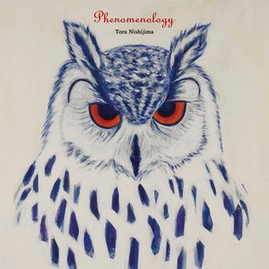 Phenomenology