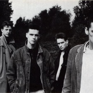 The Incredible Blondes photo provided by Last.fm