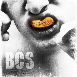 Bcs 的头像