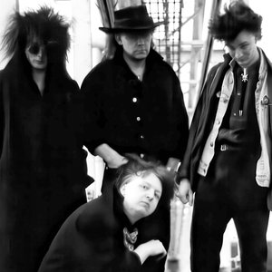 Metal Mean Machine 的头像