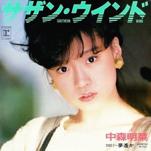サザン・ウインド