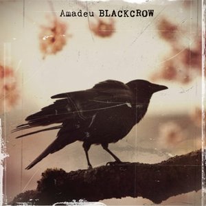 Image for 'BlackCrow'