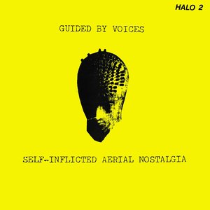 Изображение для 'Self-Inflicted Aerial Nostalgia'