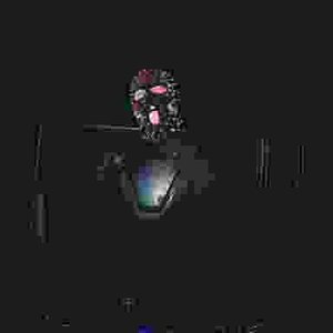 ANOLUXX 的头像