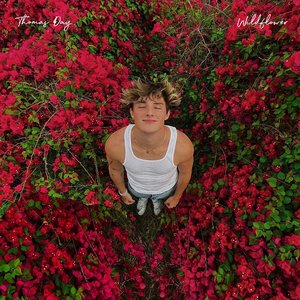 Thomas Day - Wildflower - Zortam Music