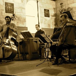 Avatar for Bruno Cocset  Les Basses Reunies