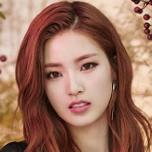 조은애 的头像
