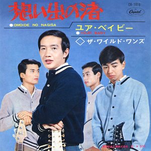 ザ・ワイルド・ワンズ 的头像