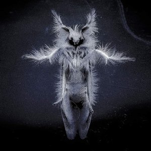 abyssmoth 的头像
