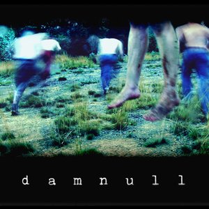 “Damnull”的封面