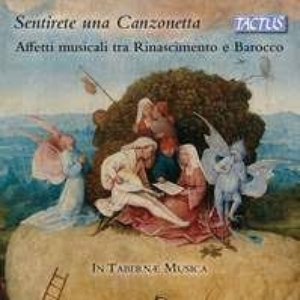 Tommaso Pace da Perugia 的头像