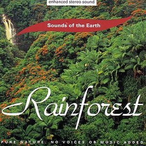 Image for 'Rainforest'