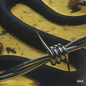 Image pour 'Post Malone/21 Savage'