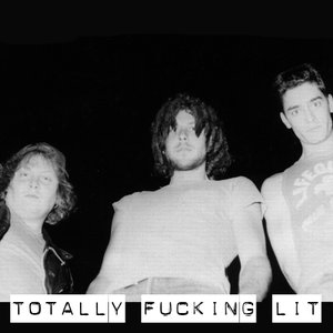 Avatar for TOTALLY FUCKING LIT