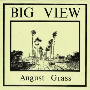 August Grass