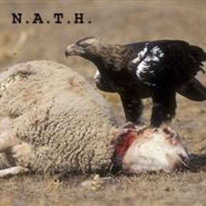 N.A.T.H. 的头像