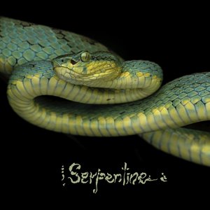 Serpentine EP