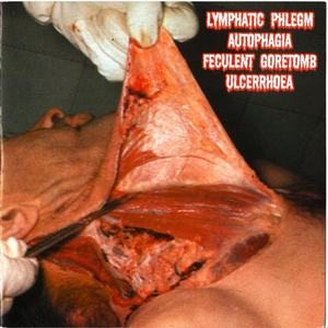 4-Way Split CD cover
