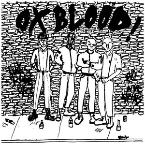 Oi! NYC SKINS