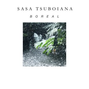 Sasa Tsuboiana