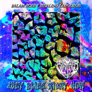 Just Bliss Right Now