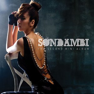 Son Dam Bi Mini Album Vol. 2