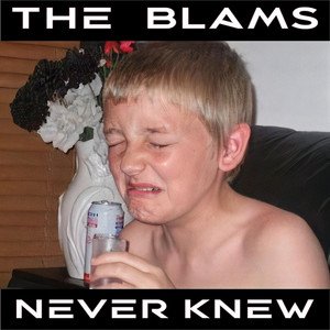 Never Knew - Single