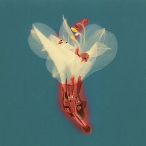 Lovin’ - Single