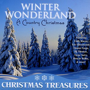 Winter Wonderland: A Country Christmas