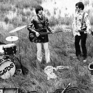 Los Gatos photo provided by Last.fm