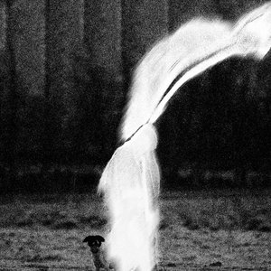 Avatar für Forgive Yourself
