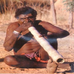 The Aussie Bush Band 的头像
