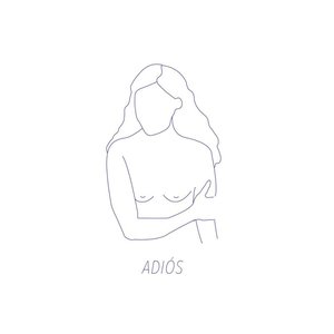 Adiós