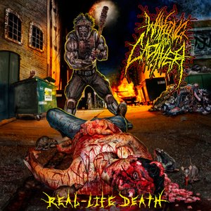 Image for 'Real-Life Death'