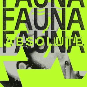 Fauna