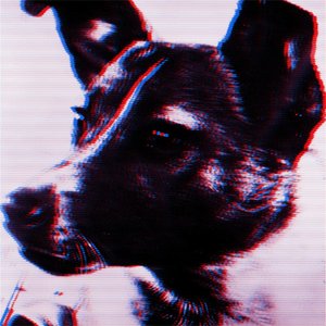 Laika