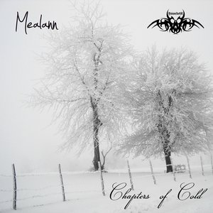 Image for 'Chapters of Cold'