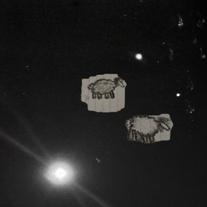 Sheep Land