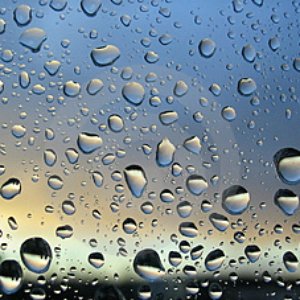 raindrop echoes