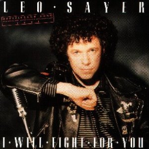 I Will Fight for You