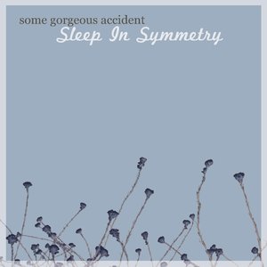 Sleep In Symmetry