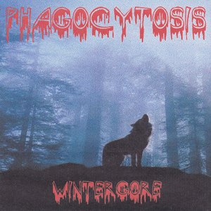 Wintergore