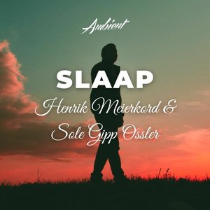 Slaap