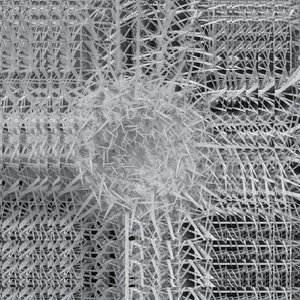 sunnk///tusk mite