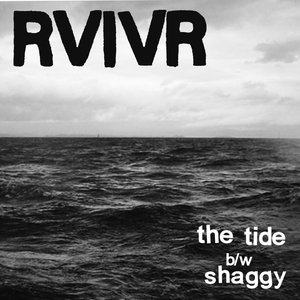 The Tide b/w Shaggy