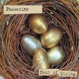 Nest Of String