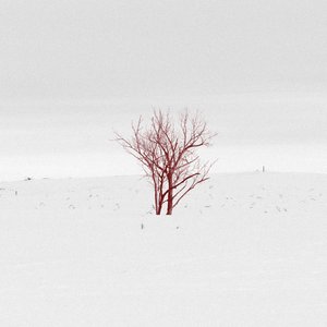Blank Snowdrift