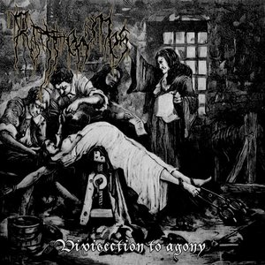 Vivisection To Agony