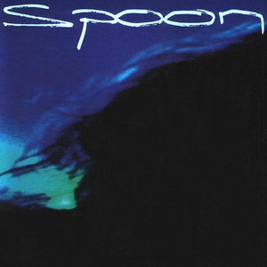 Spoon cover