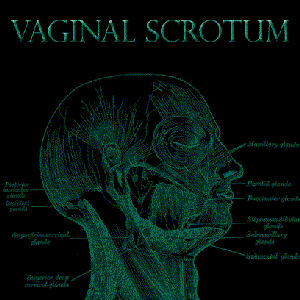 Avatar for Vaginal Scrotum